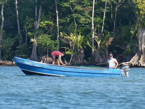 P1012113.JPG