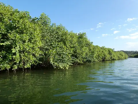 P1012115.JPG