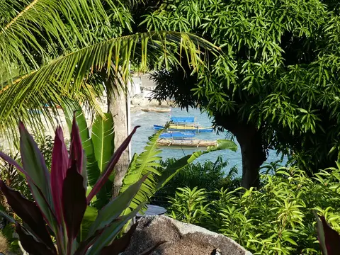 P1030220.JPG