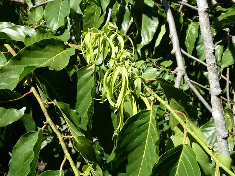 P1030416.JPG