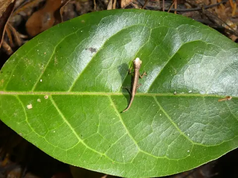 P1030420.JPG