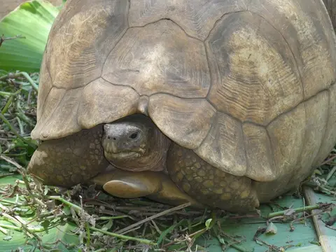 P1040975.JPG