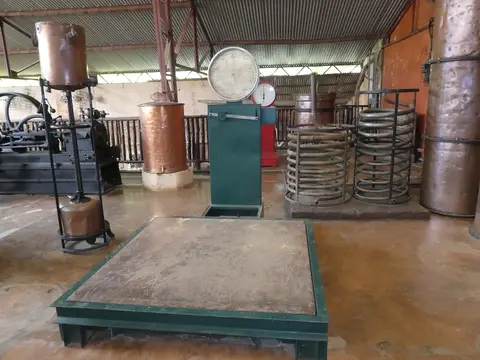 P1050116.JPG