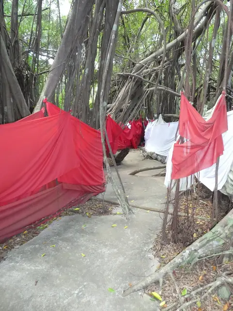 P1050131.JPG