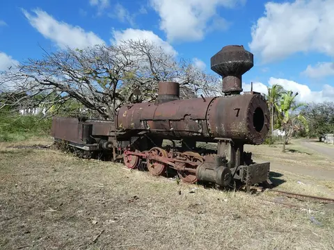 P1050169.JPG