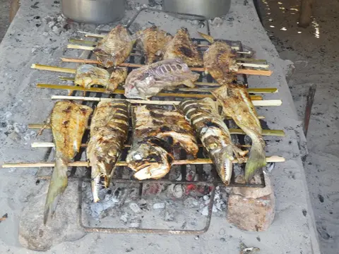 P1050215.JPG