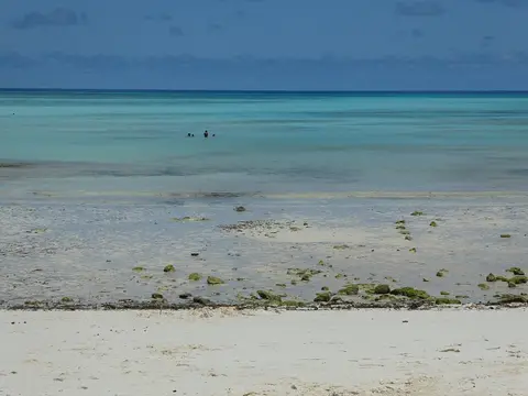 P1050216.JPG