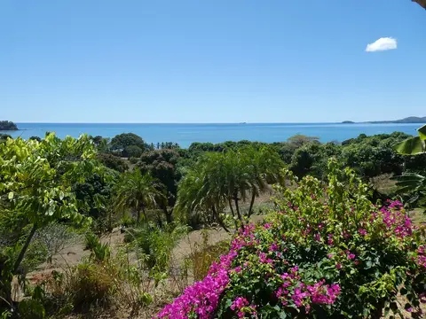 P1050281.JPG