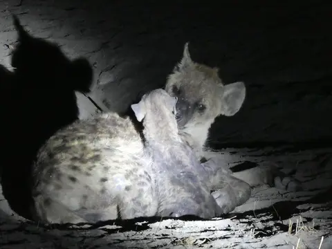 P1080251.JPG