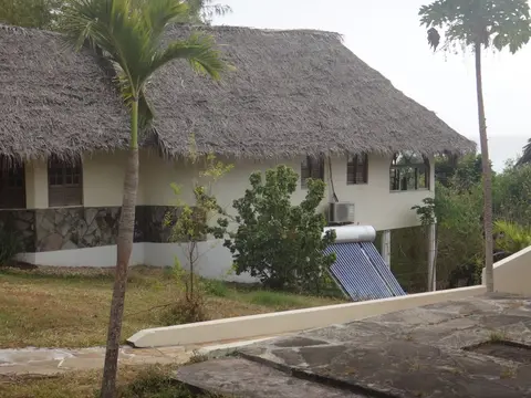 h3798d5f.JPG