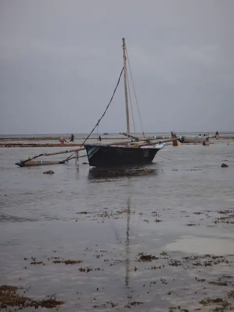 h509624a.JPG