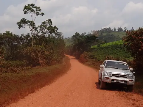 h654d8cc.JPG