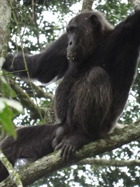h6db201e.JPG