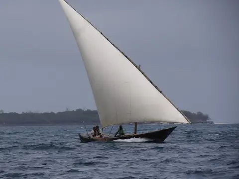 hab21c59.JPG