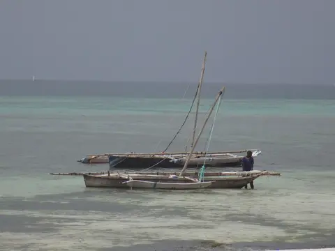 hcd10a0d.JPG