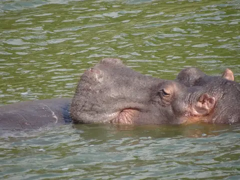 hdbd9fc0.JPG