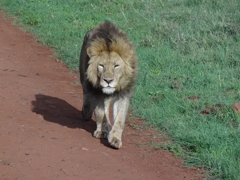 he723685.JPG