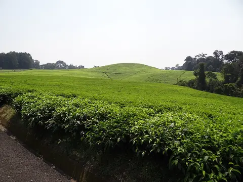 hea86a96.JPG
