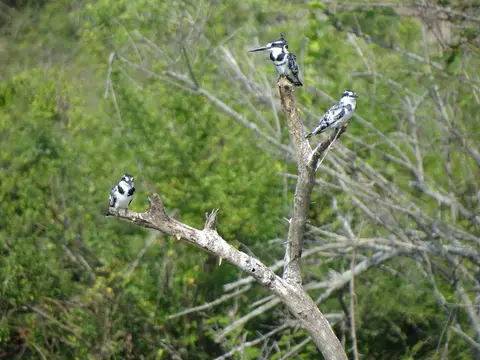 hf2865ca.JPG