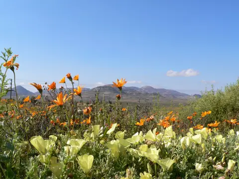 P1050854.JPG