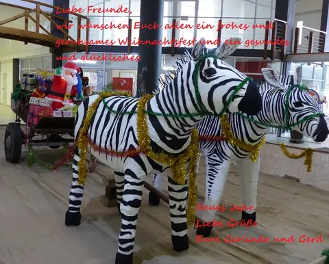 haafcd52_2014-12-24.jpg