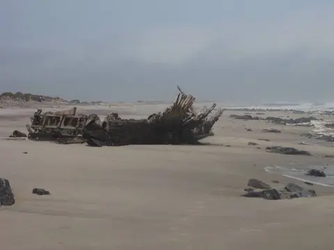 BenguelaEagleWrack.jpg