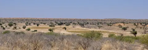DSC_0156.jpeg