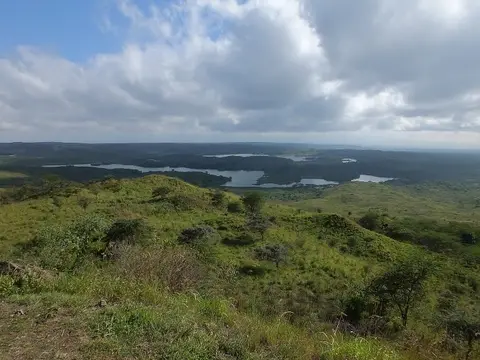 010MomellaSeen.jpg