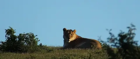 h51061f4.JPG