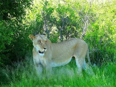 h85f3215.jpg