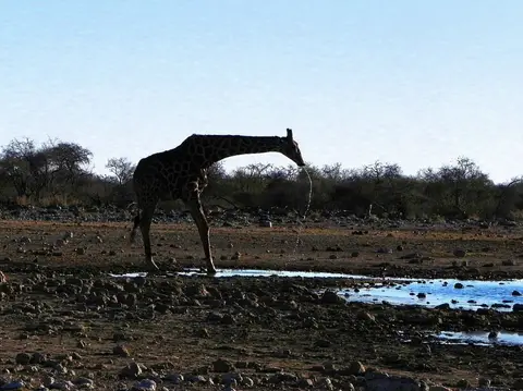 hfb26571.JPG