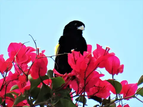IMG_0217.JPG