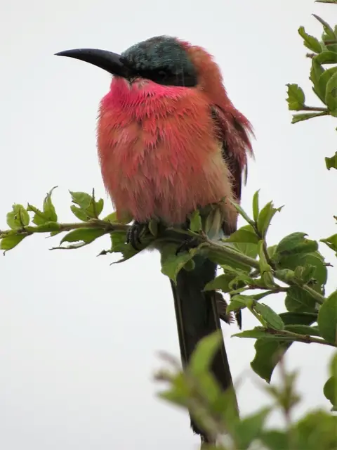 IMG_0866.JPG