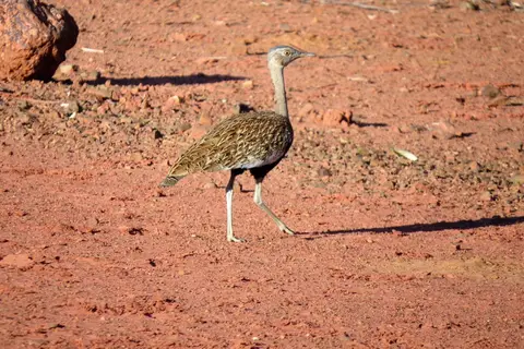 IMG_3842.JPG
