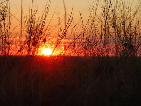 P1150026.JPG