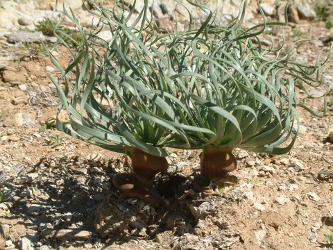 3DSCF7151.JPG