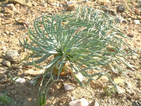 5DSCF0274.JPG