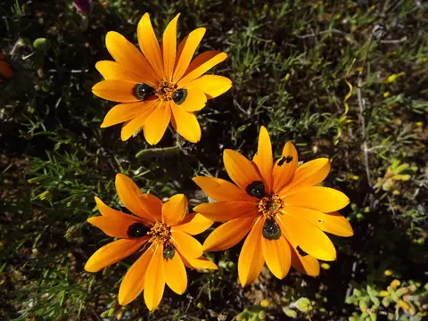 DSCF6520.JPG