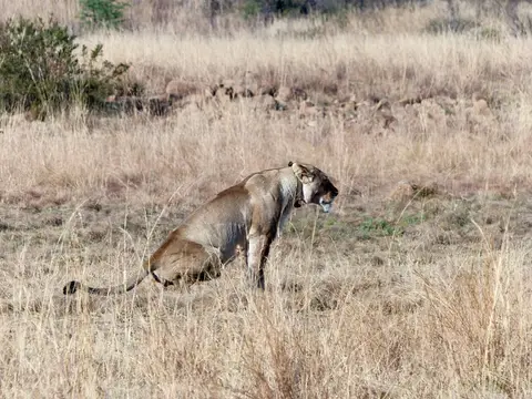 hc6813eb.jpg