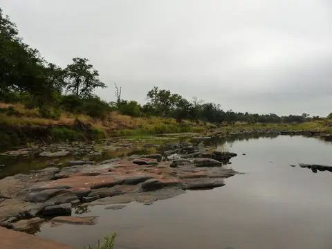 hc9c0093.jpg