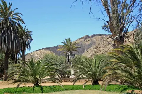 Goanikontes1.jpg