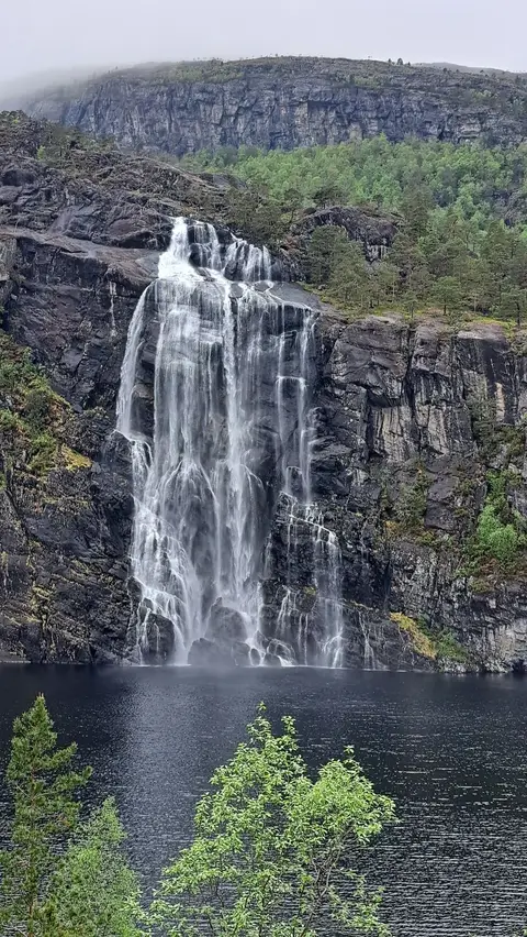 20260530_145039.jpg