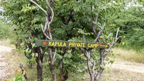 h84c4977.JPG