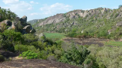 h170b87c.JPG
