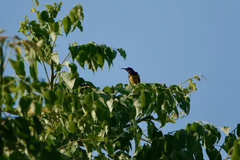 DSC03946.jpg
