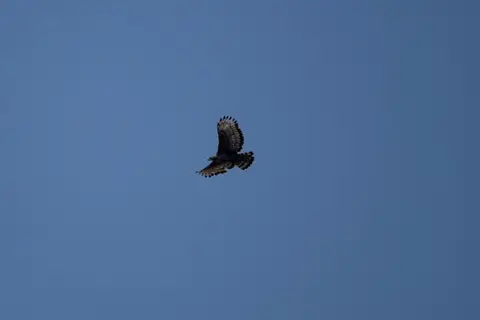 DSC04022.jpg