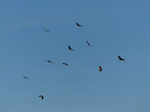 h35d759a.jpg