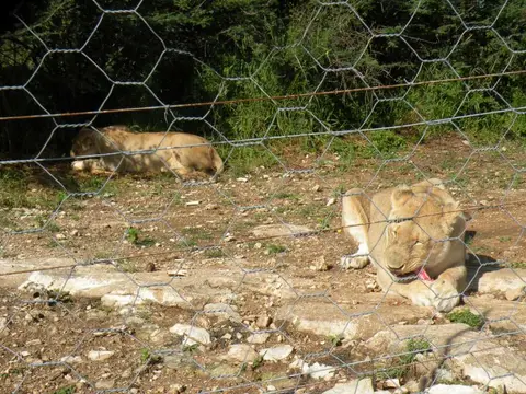 DSCN1020.JPG