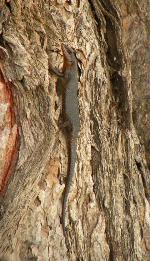 DSCN2140.JPG