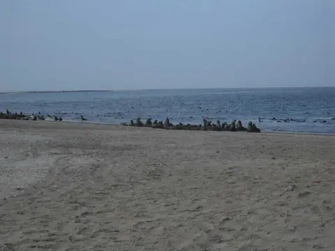 SDC11316.JPG